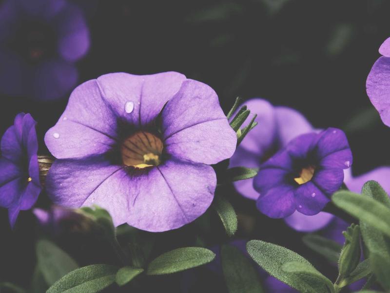 sudoku number placement screenshot 6