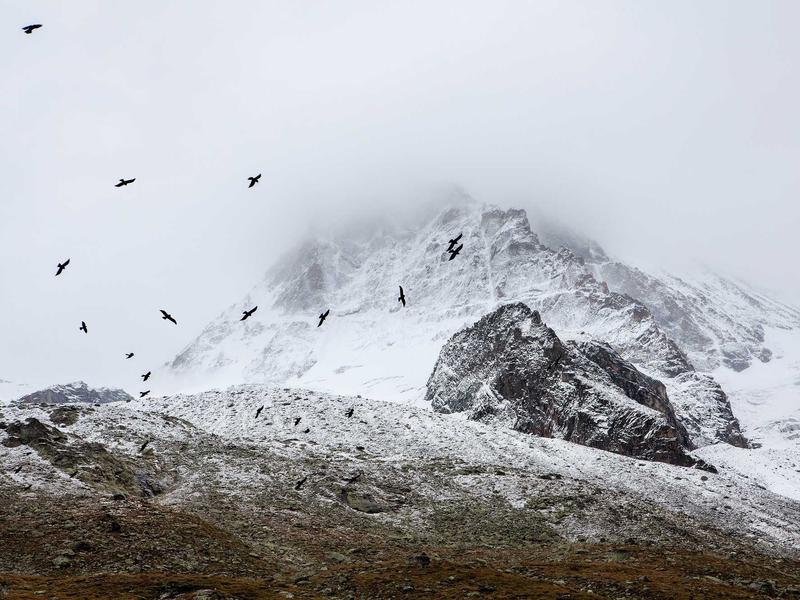 sudoku number placement screenshot 3
